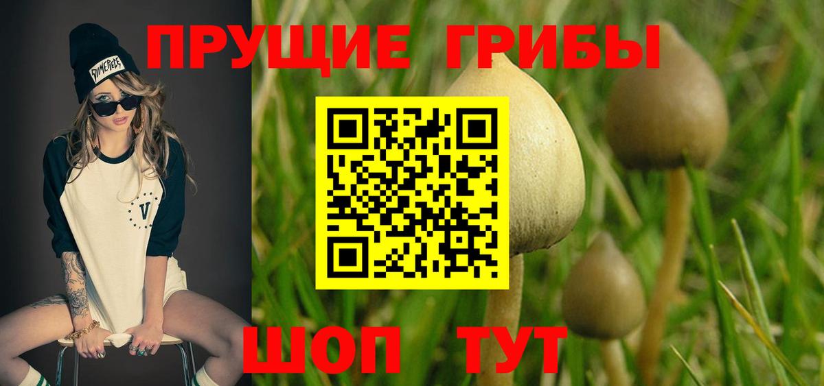 Псилоцибиновые грибы Psilocybe  Вход с VPN  Псилоцибиновые грибы мухоморы  Гусиноозёрск 