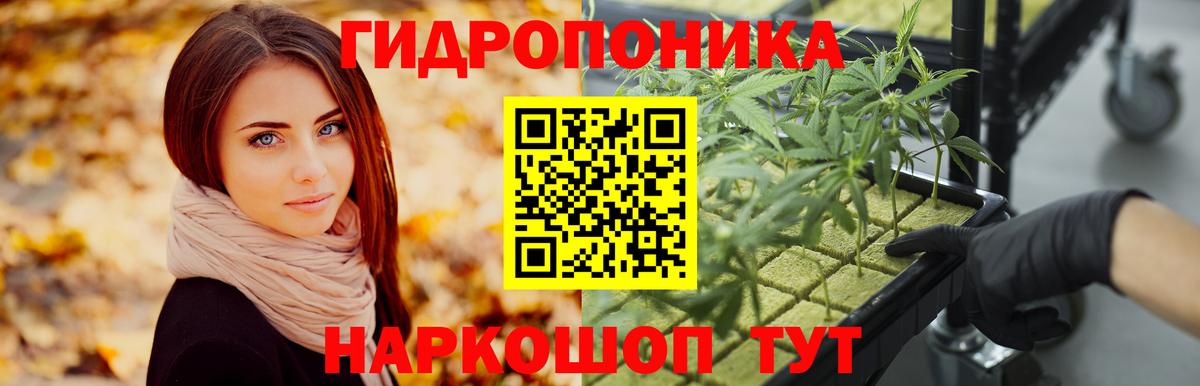 Канабис конопля  Бошки марихуана конопля  Бошки марихуана AK-47  Гусиноозёрск  Вход с VPN 